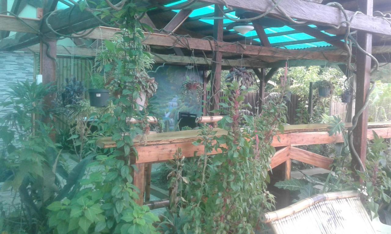 Jungle Of Peace Resort 锡基霍尔 外观 照片