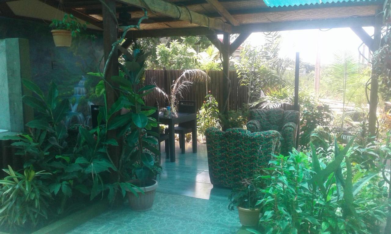 Jungle Of Peace Resort 锡基霍尔 外观 照片