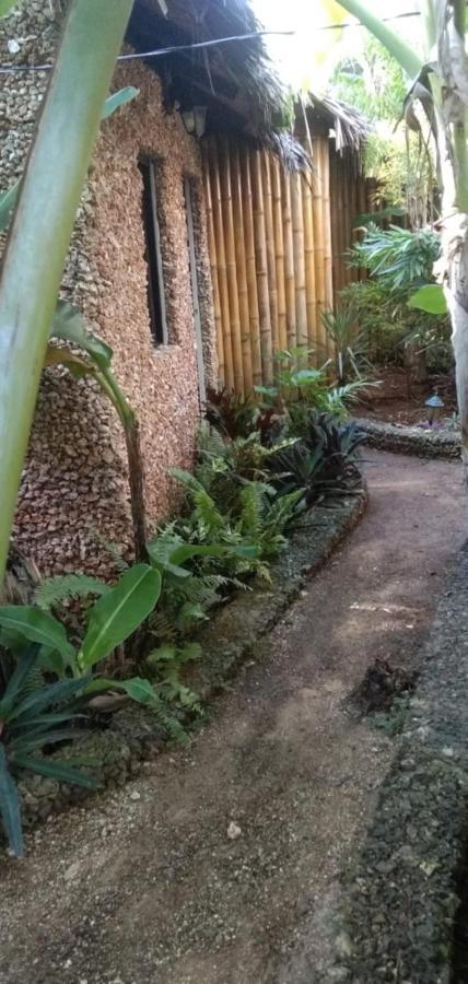 Jungle Of Peace Resort 锡基霍尔 外观 照片