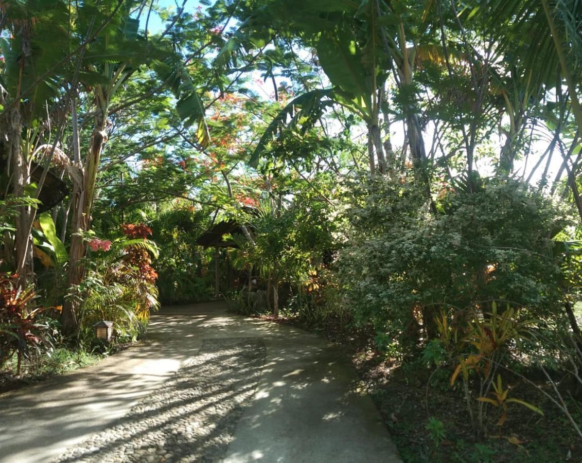 Jungle Of Peace Resort 锡基霍尔 外观 照片