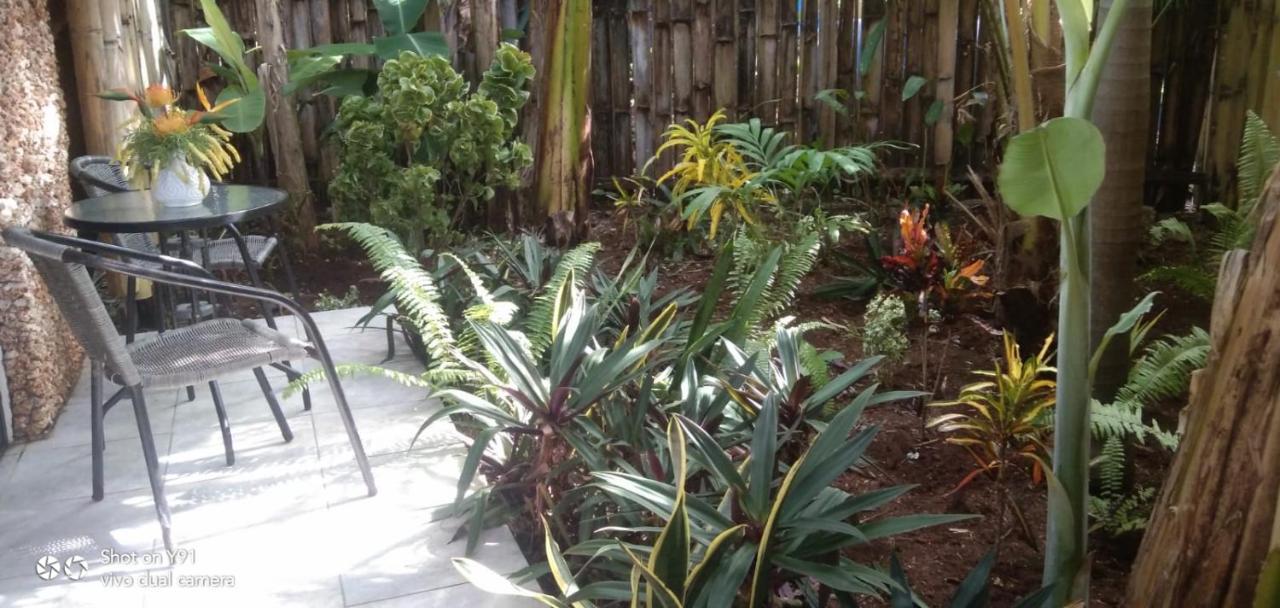 Jungle Of Peace Resort 锡基霍尔 外观 照片