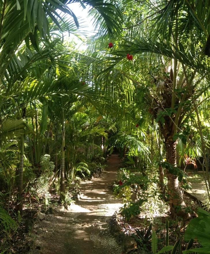 Jungle Of Peace Resort 锡基霍尔 外观 照片